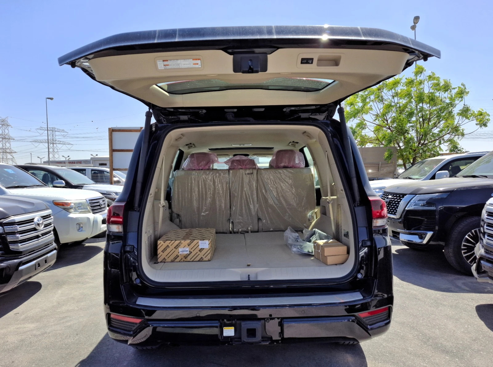 Image 6