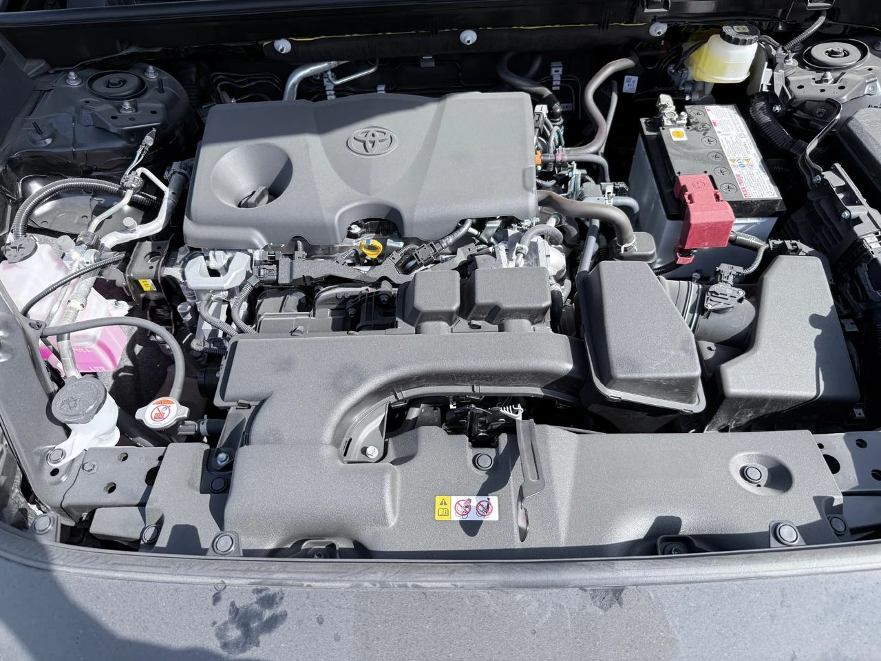 Image 7