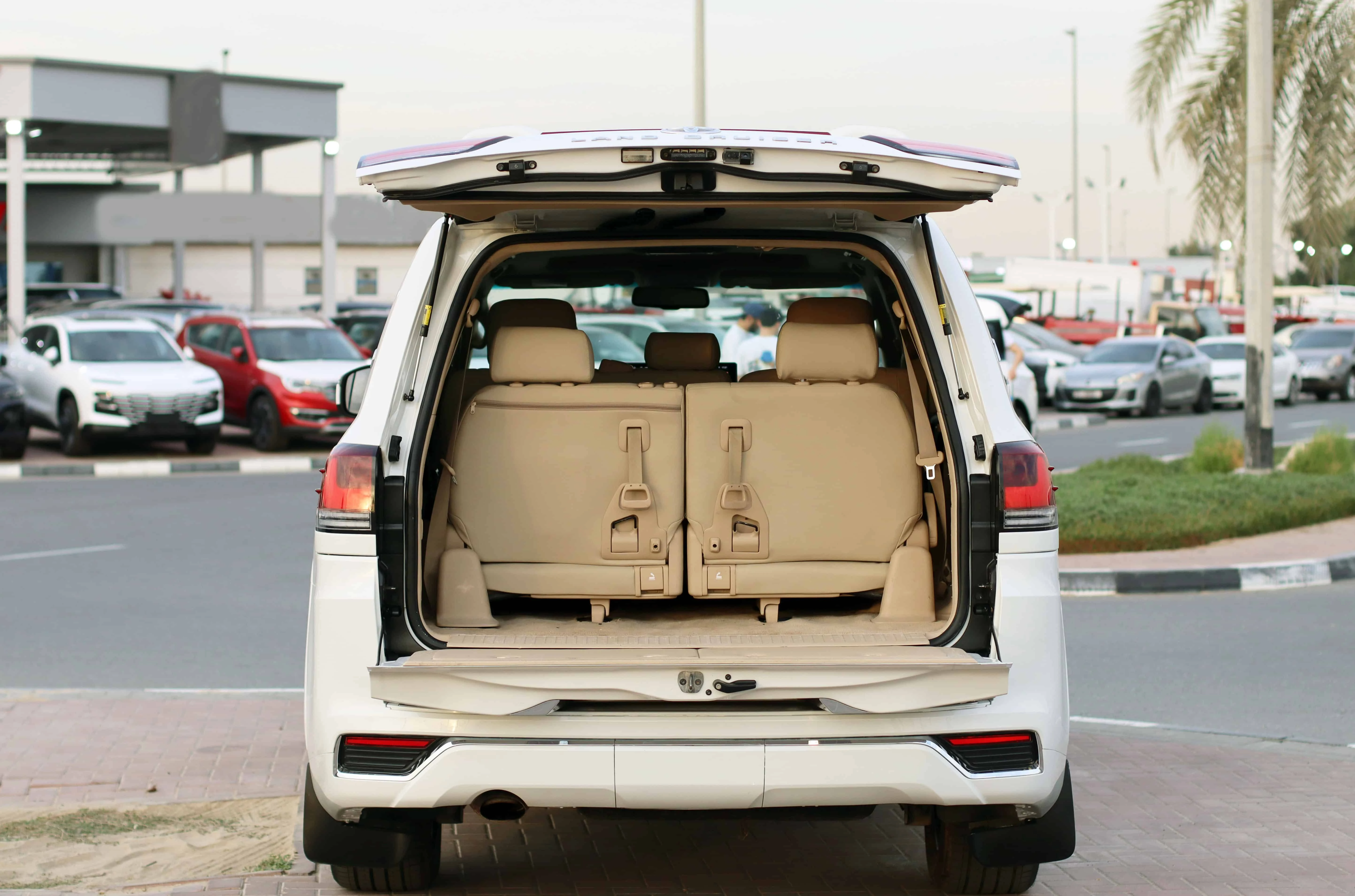 Image 5